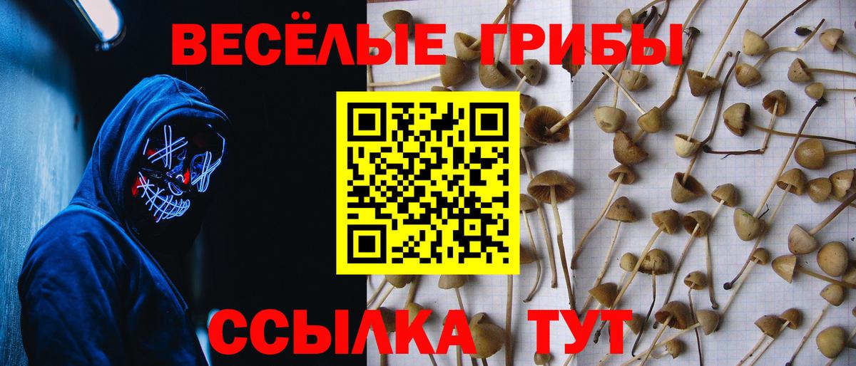 Ревда  Галлюциногенные грибы прущие грибы  Галлюциногенные грибы мицелий  Вход с VPN 